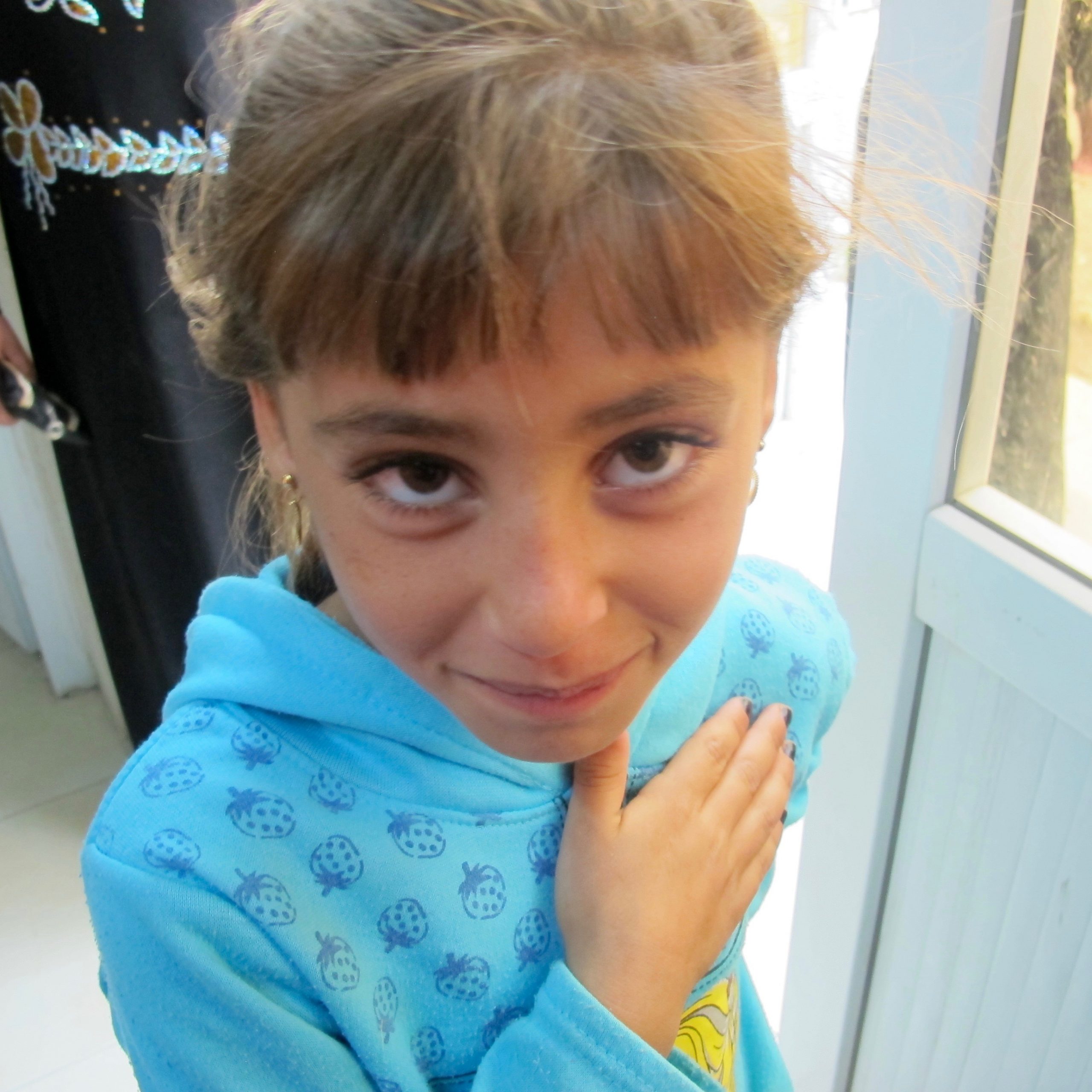 Read more about the article Iraq: Victory in Mosul, but at what cost?