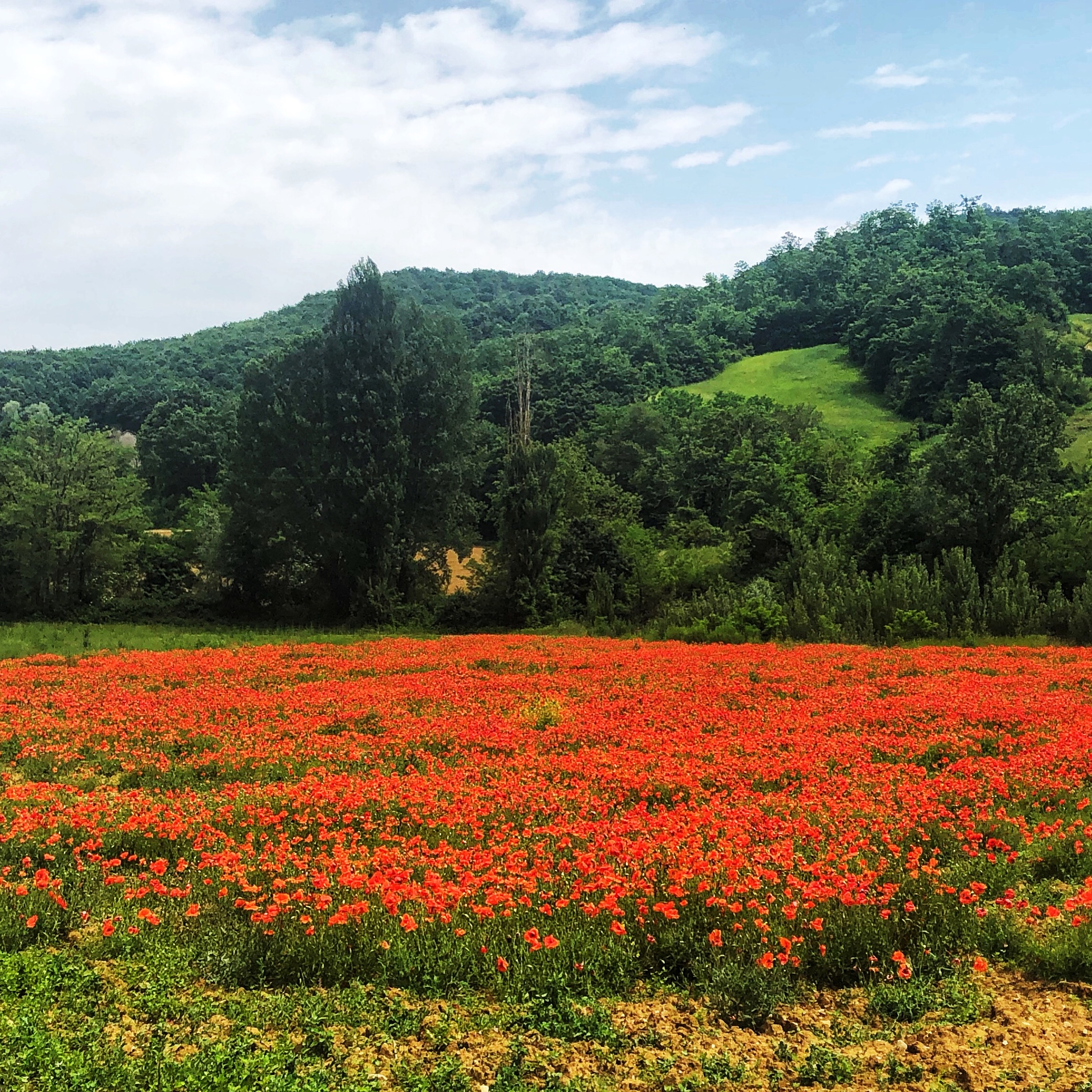 Read more about the article My week in Umbria, Part 1
