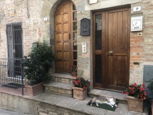Read more about the article The doors of Umbria