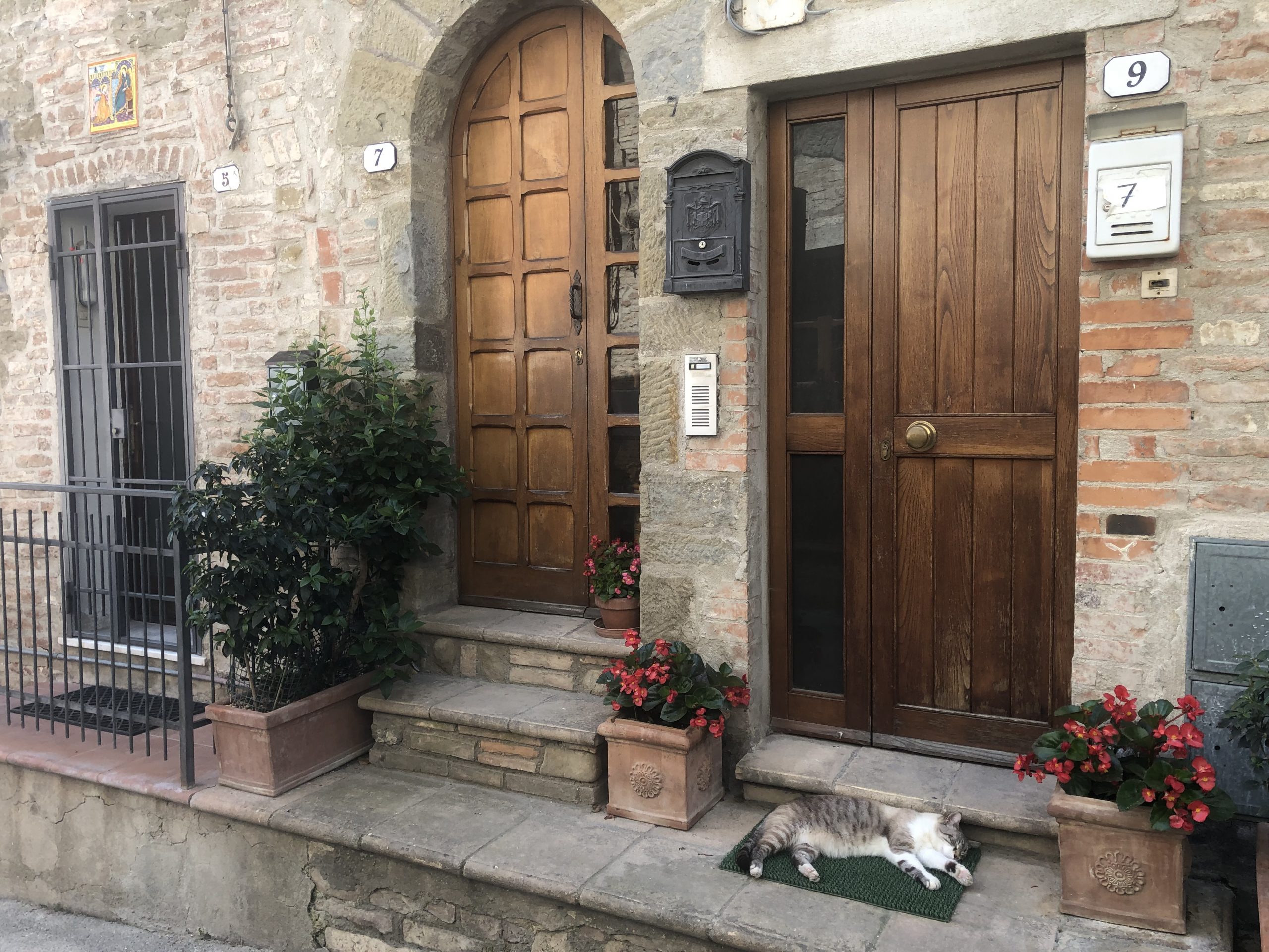Read more about the article The doors of Umbria